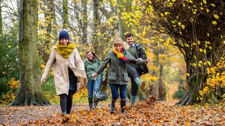 A group of young adults kicking up autumn leaves on a walk around the estate at Hardwick, Derbyshire